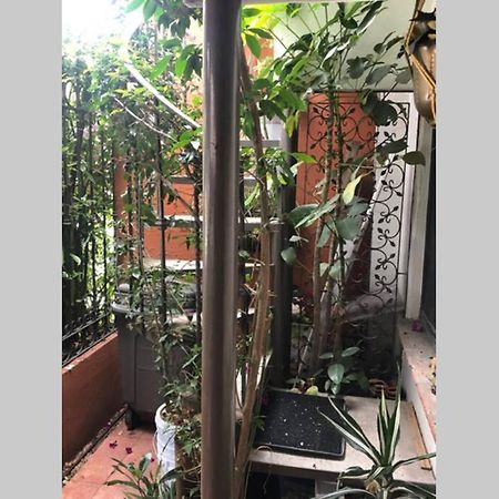 Amplia Habitacion Tipo Ejecutiva Con Bano Y Acceso Privados Toluca Eksteriør billede