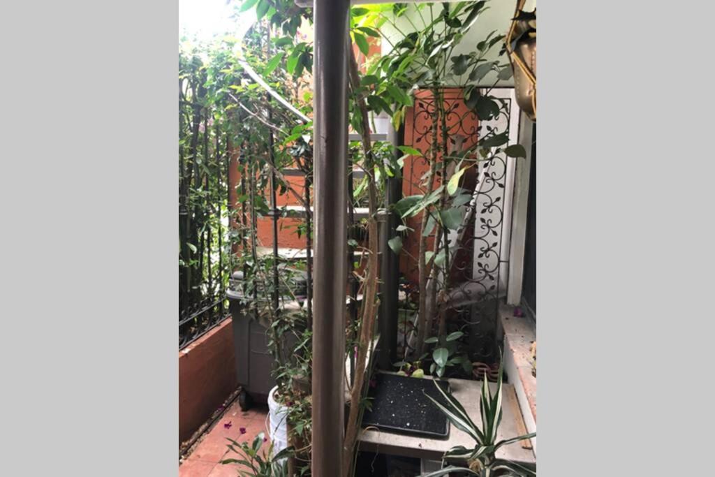 Amplia Habitacion Tipo Ejecutiva Con Bano Y Acceso Privados Toluca Eksteriør billede